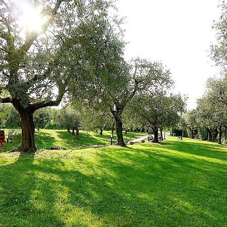 Villa Al Vajo Lazise Exterior foto