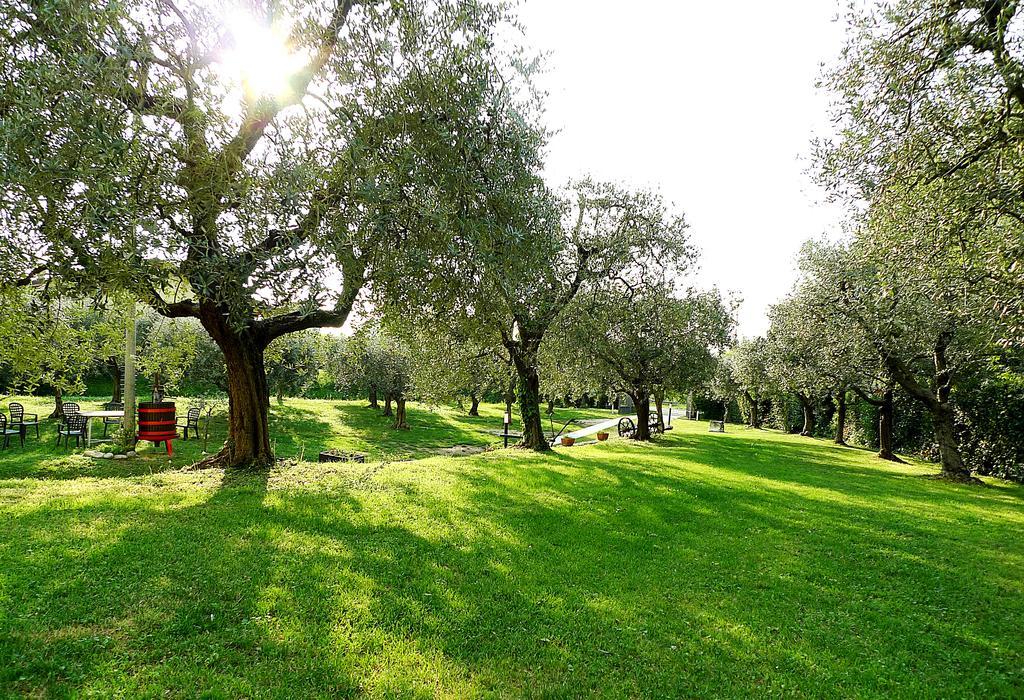 Villa Al Vajo Lazise Exterior foto